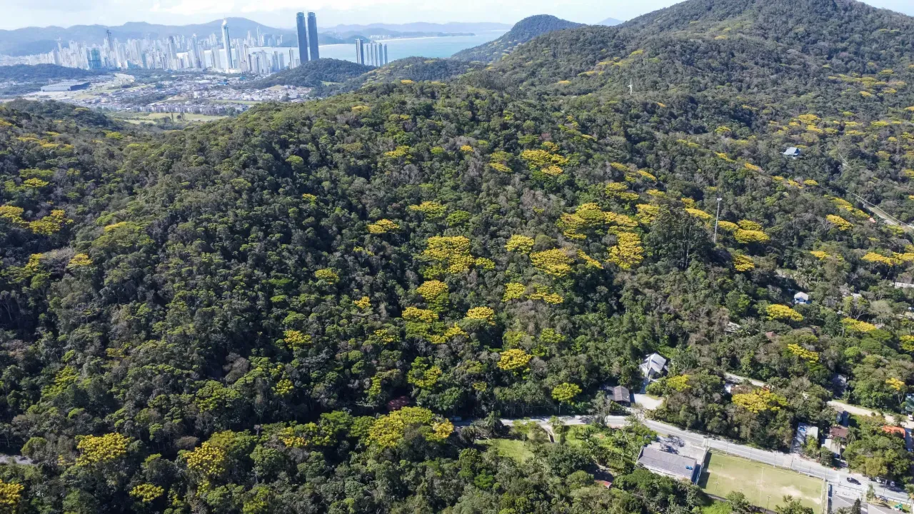 Terreno no Praia do Estaleiro em Balneário Camboriú — foto 3
