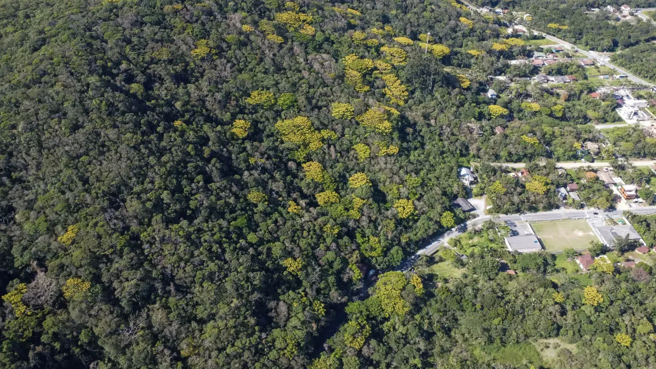 Terreno no Praia do Estaleiro em Balneário Camboriú — foto 4
