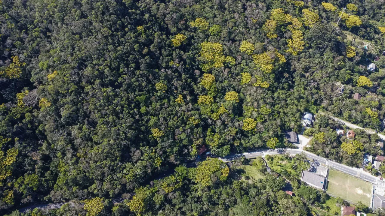 Terreno no Praia do Estaleiro em Balneário Camboriú — foto 5