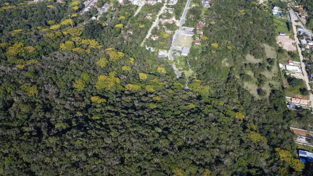 Terreno no Praia do Estaleiro em Balneário Camboriú — foto 6