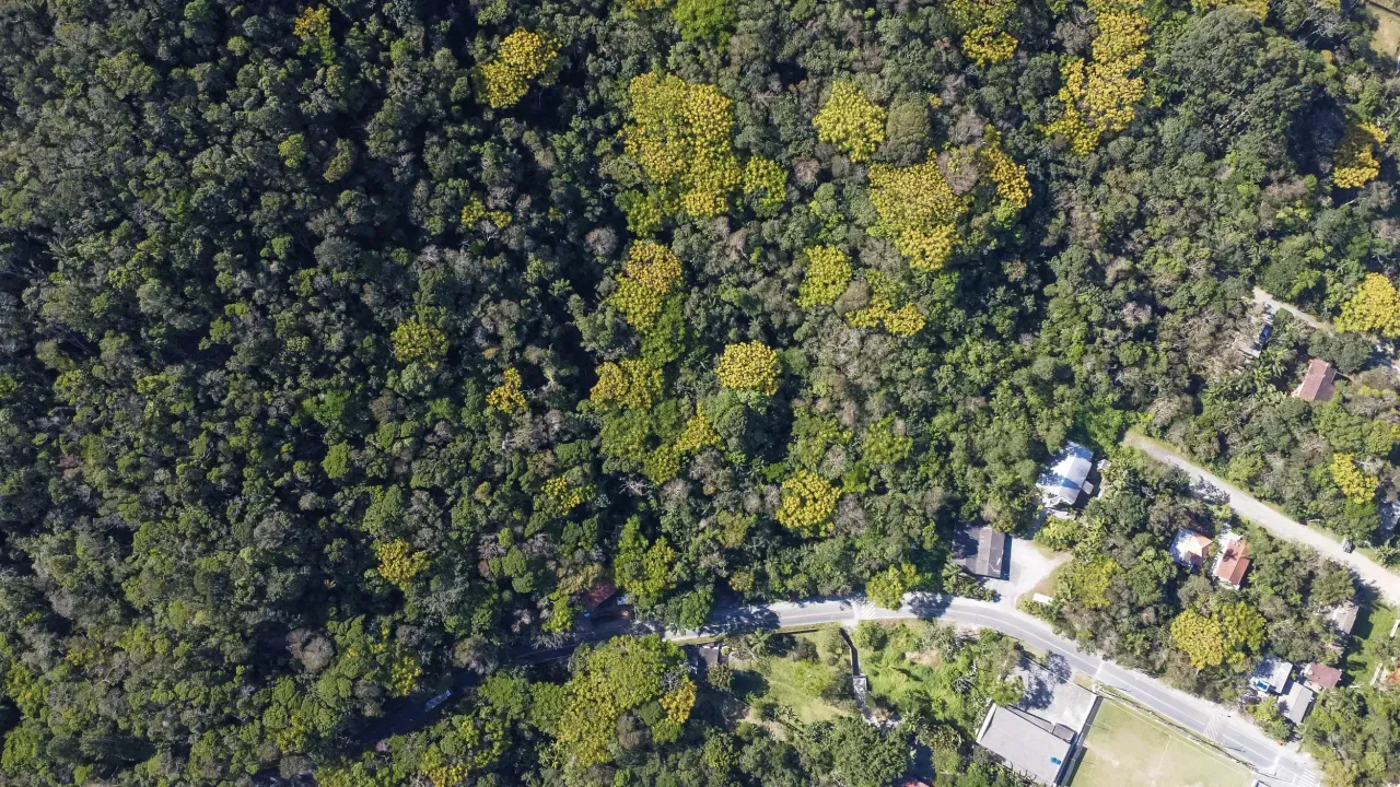 Terreno no Praia do Estaleiro em Balneário Camboriú — foto 9