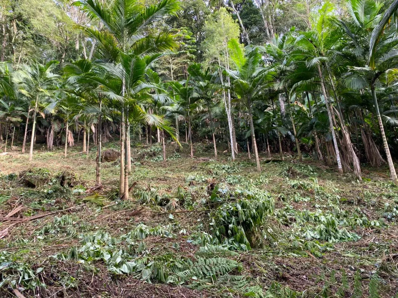 Chácara 52.000m² em Camboriú