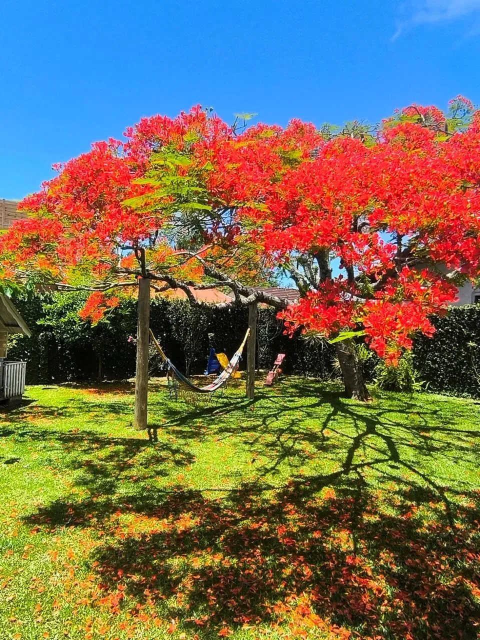 Casa mobiliada com 4 Dormitórios sendo 01 suíte e 4 vagas em Penha SC