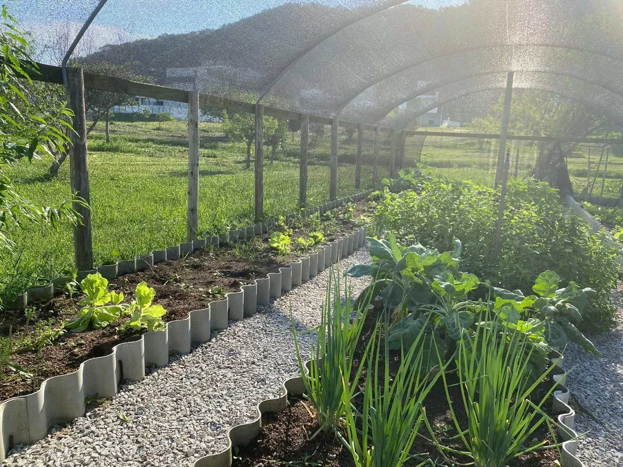 Casa com 4 suítes e 4 vagas de garagem em condomínio Fechado nos Ingleses – Florianópolis/SC