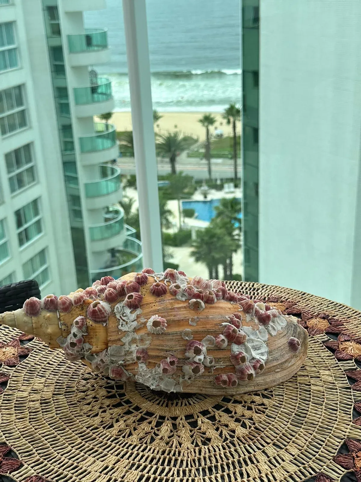 apartamento - Imagem 15