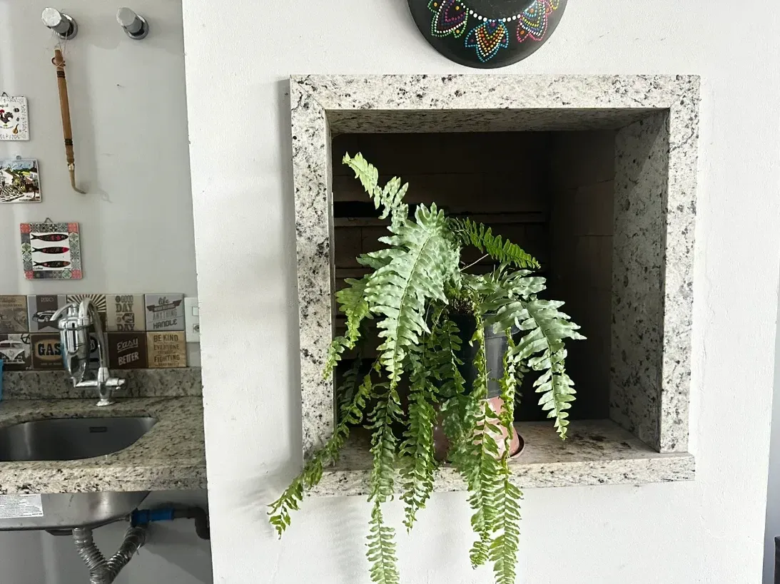 Casa com 3 dormitórios sendo 1 suíte e 2 vagas de garagem - Bairro Campeche, Florianópolis/SC