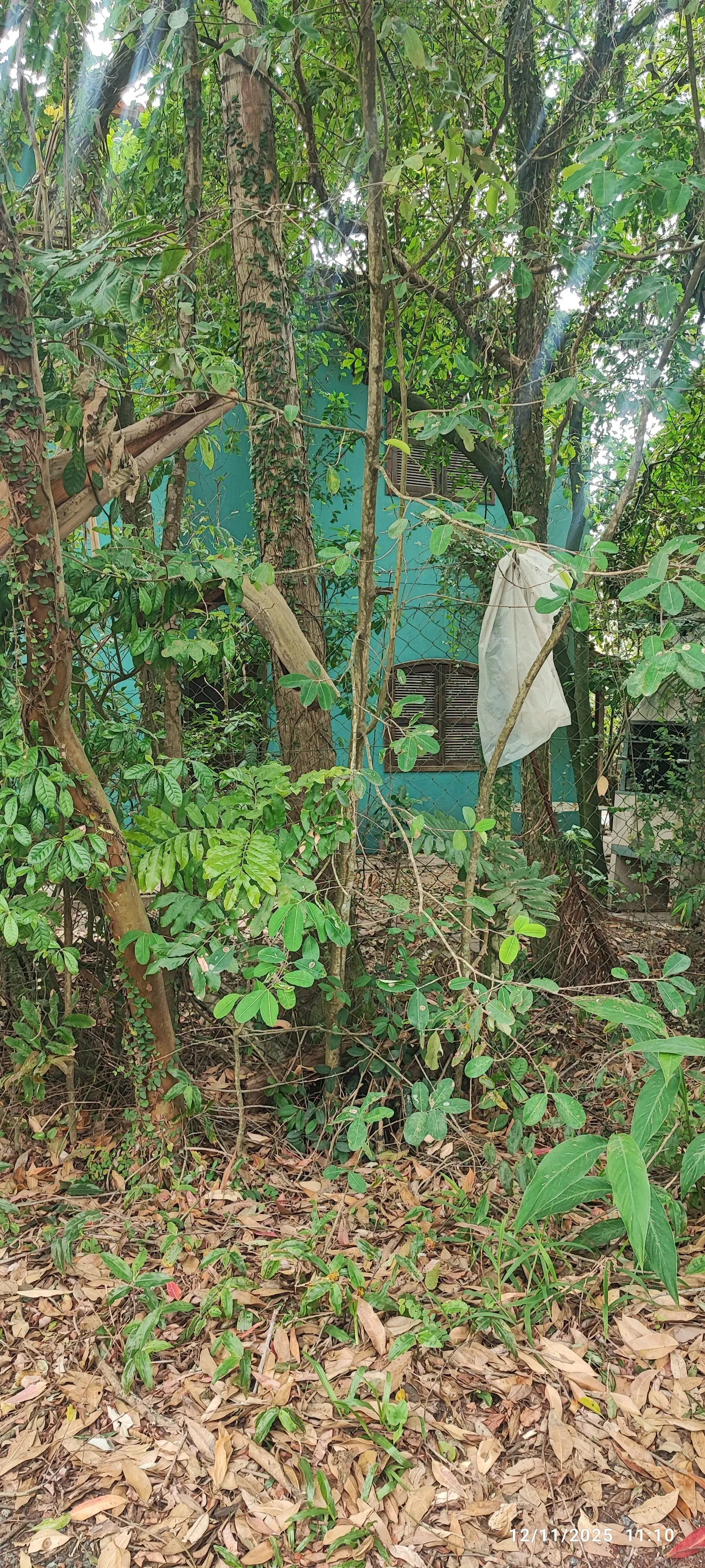 Terreno exclusivo pé na areia com 2.000m² ideal para construtoras, na Praia de Armação, Penha/SC